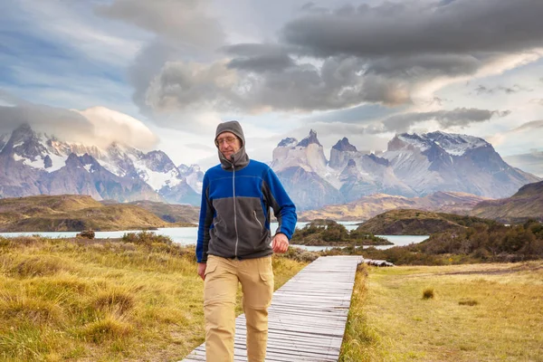 Hermosos Paisajes Montaña Parque Nacional Torres Del Paine Chile Región — Foto de Stock