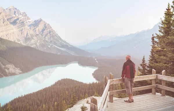 Lago Peyto Nel Banff National Park Canada — Foto Stock