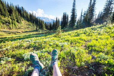 Yaz dağlarında gezintiye çıkmış bir gezgin.