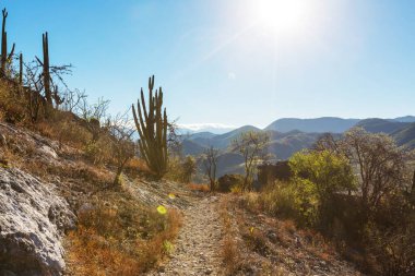 Meksika 'da yağmur mevsiminde orman ve dağlar