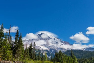 Mount Rainier Ulusal Parkı, Washington