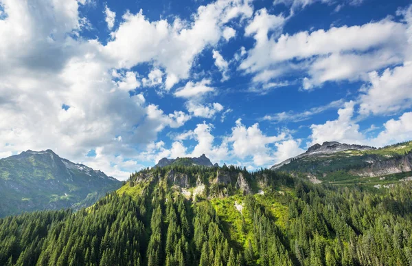 Όμορφη Κορυφή Του Βουνού Στο North Cascade Range Ουάσιγκτον Ηπα — Φωτογραφία Αρχείου