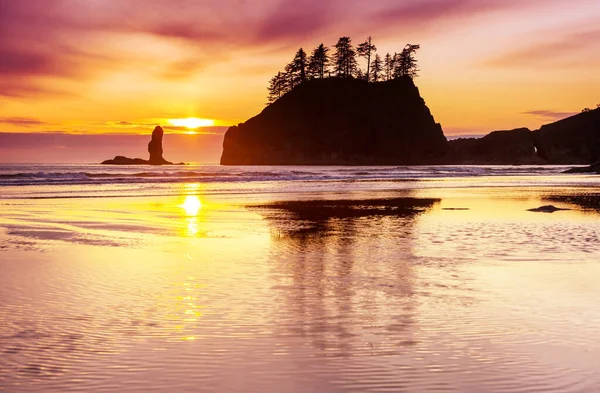 Costa Del Pacífico Escénica Rigurosa Parque Nacional Olímpico Washington Rocas — Foto de Stock