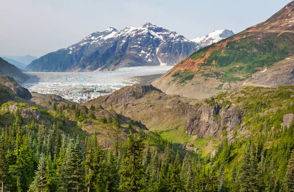 Laxglaciär Stewart Kanada — Stockfoto