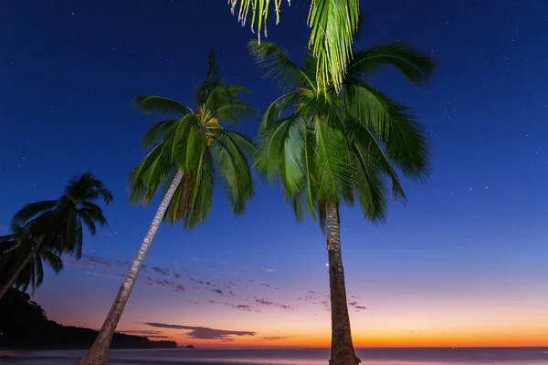Schöner Tropischer Fantasie Strand Dunkeln — Stockfoto