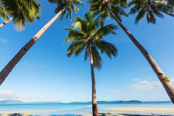 Lugn Den Tropiska Stranden — Stockfoto