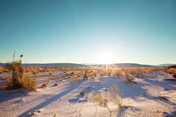 Weiße Sanddünen New Mexico Vereinigte Staaten — Stockfoto