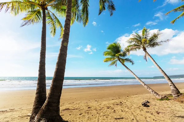 Sérénité Sur Plage Tropicale — Photo