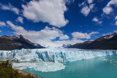 Arjantin 'de perito moreno buzulu