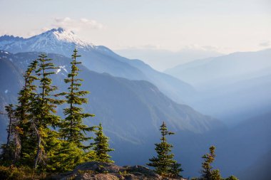 North Cascade Range, Washington / ABD 'de güzel bir dağ zirvesi.