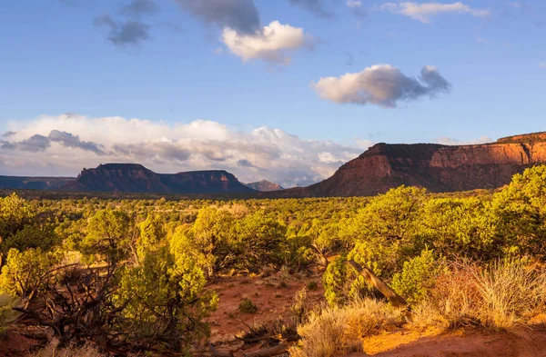 Paesaggi Americani Prateria Nella Stagione Autunnale Utah Usa — Foto Stock