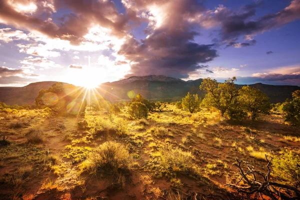 Amerikaanse Landschappen Prairie Het Najaar Utah Verenigde Staten — Stockfoto