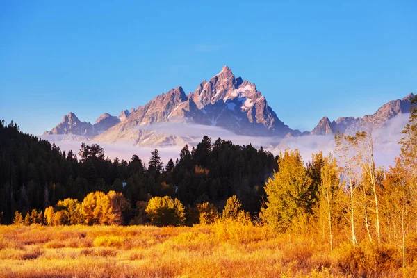 Ljusa Färger För Höstsäsongen Grand Teton National Park Wyoming Usa — Stockfoto