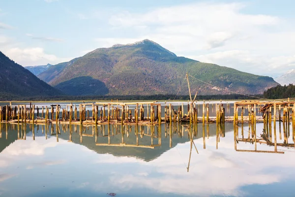 Krásné Pobřeží Při Západu Slunce Bella Coola Kanada — Stock fotografie