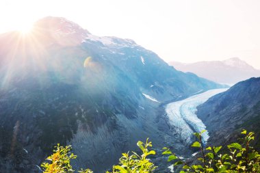 Kanada, Stewart 'ta somon buzulu