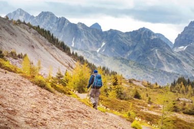Kanada dağlarında yürüyüş yapan adam. Yürüyüş, Kuzey Amerika 'da popüler bir eğlence aktivitesidir. Bir sürü pitoresk yol var..