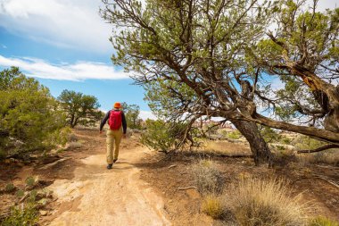 Utah dağlarında yürüyüş. Alışılmadık doğal manzaralarda yürüyüş. Fantastik kumtaşı oluşumları.