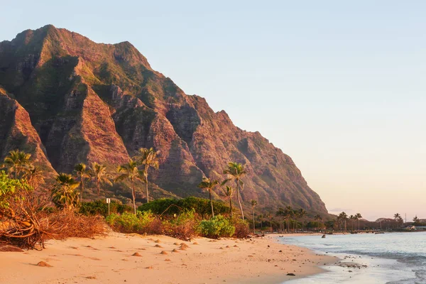 Piękne Krajobrazy Wyspie Oahu Hawaje — Zdjęcie stockowe