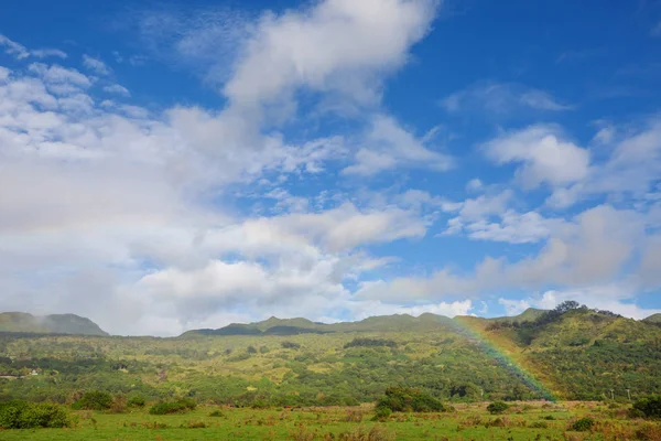 Vista Pittoresca Dell Isola Hawaii — Foto Stock