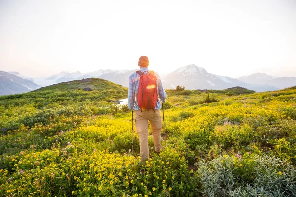 Wandersmann Den Kanadischen Bergen Wandern Ist Die Beliebteste Freizeitbeschäftigung Nordamerika — Stockfoto