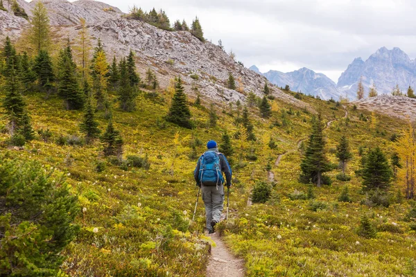 Caminhando Homem Nas Montanhas Canadenses Caminhada Atividade Recreação Popular América — Fotografia de Stock