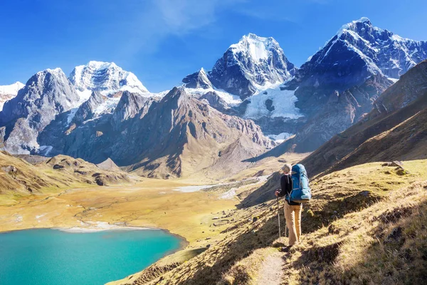 Cordillera Dağlarında Yürüyüş Sahnesi Peru — Stok fotoğraf