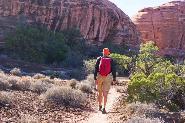 Vandra Utah Bergen Vandring Ovanliga Naturlandskap Fantastiska Former Sandsten Formationer — Stockfoto