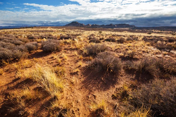 Krajobrazy Ameryki Preria Sezonie Jesiennym Utah Usa — Zdjęcie stockowe