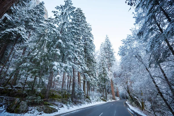 米国カリフォルニア州ヨセミテ国立公園の冬の季節 — ストック写真