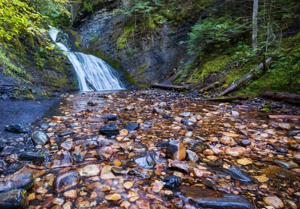 Cascade Dans Belle Forêt Verte — Photo