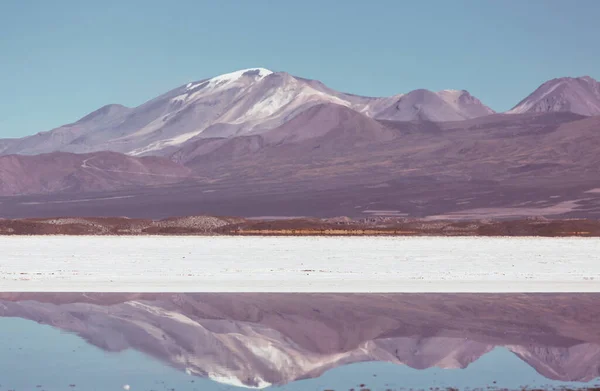 Фламінго Озері Болівійської Альтіпланської Дикої Природи — стокове фото