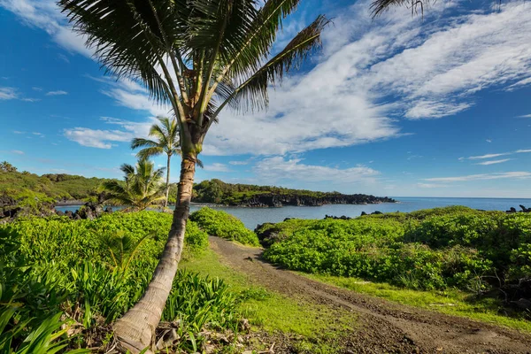 Piękne Tropikalne Krajobrazy Wyspie Maui Hawaje — Zdjęcie stockowe