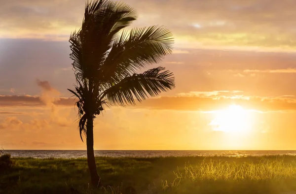 Bellissimo Paesaggio Tropicale Oceano Tramonto Estivo Sfondo Naturale — Foto Stock