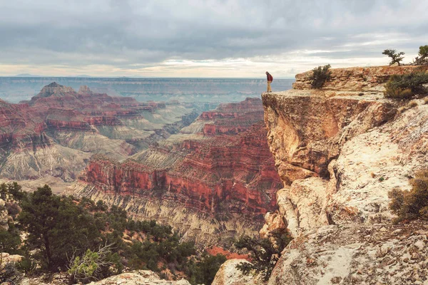 Podróżnik Klifie Nad Wielkim Kanionem Arizona Usa Inspirujące Emocje Podróże — Zdjęcie stockowe