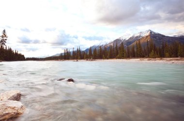 Yaz mevsiminde Kanada Kayalıkları 'nda resim gibi dağ manzarası