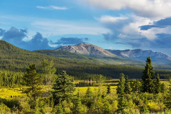 Yaz Mevsiminde Kanada Kayalıkları Nda Resim Gibi Dağ Manzarası — Stok fotoğraf