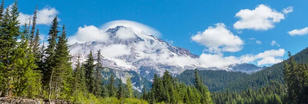 Parque Nacional Monte Rainier Washington — Foto de Stock