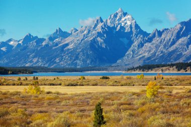 Güz mevsiminin parlak renkleri Grand Teton Ulusal Parkı, Wyoming, ABD