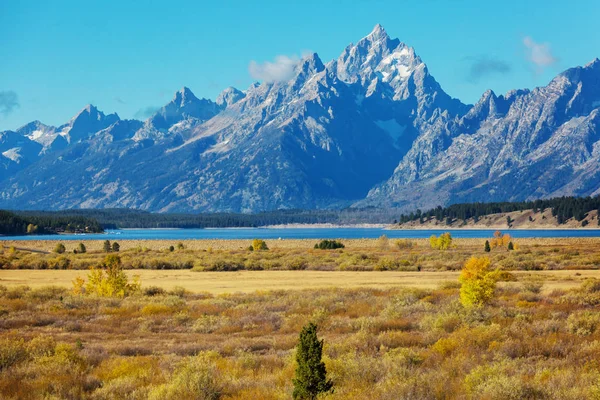 Élénk Színek Őszi Szezonban Grand Teton Nemzeti Park Wyoming Usa — Stock Fotó