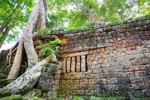 カンボジアのシェムリアップに近いアンコール遺跡の古代クメール文明 — ストック写真