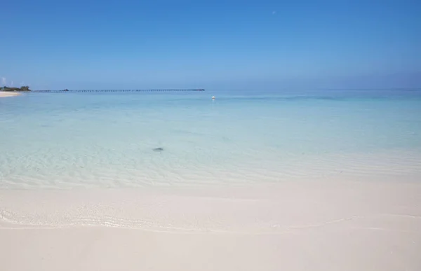 Bellissima Spiaggia Delle Maldive Naturale Bello Sfondo — Foto Stock