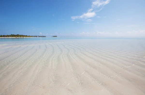 Vackra Maldiverna Stranden Naturlig Vacker Bakgrund — Stockfoto