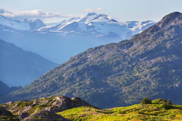 Vista Pitoresca Montanha Nas Montanhas Rochosas Canadenses Temporada Verão — Fotografia de Stock