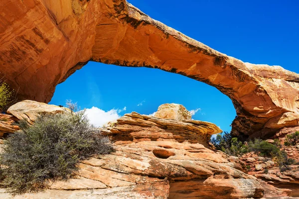 Owachomo Bridge Natural Bridges National Monument Utah Estados Unidos —  Fotos de Stock