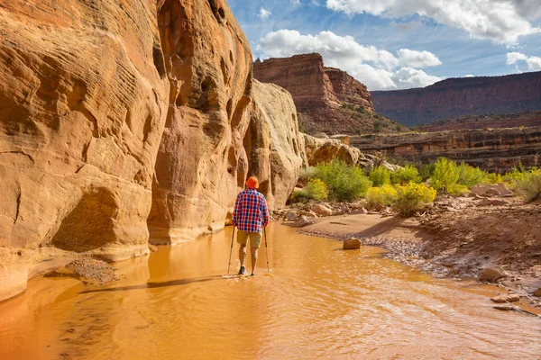 Caminata Las Montañas Utah Senderismo Paisajes Naturales Inusuales Formas Fantásticas — Foto de Stock