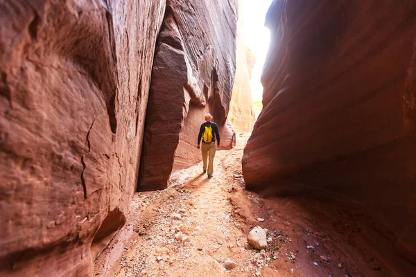 Canyon Sous Dans Grand Staircase Escalante National Park Utah États — Photo