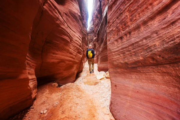 Slot Canyon Grand Staircase Escalante National Park Utah Usa Unusual — Stock Photo, Image