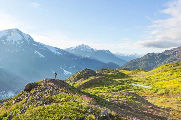 Γραφική Θέα Στο Βουνό Στο Canadian Rockies Κατά Θερινή Περίοδο — Φωτογραφία Αρχείου