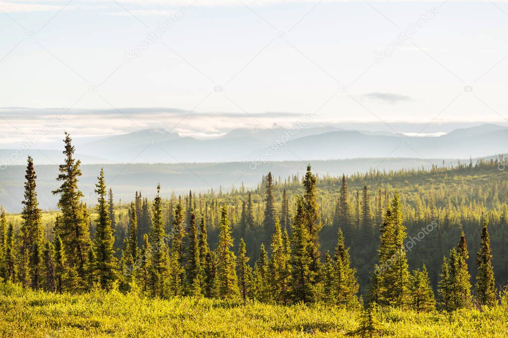 Tundra landscapes above Arctic circle in Canada. Beautiful inspiring natural background.