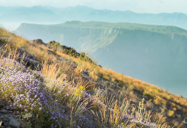 Chimgan Mountains Tashkent City Uzbekistan — Stock Photo, Image